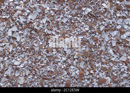 Grounded eggshell background with abstract texture Stock Photo