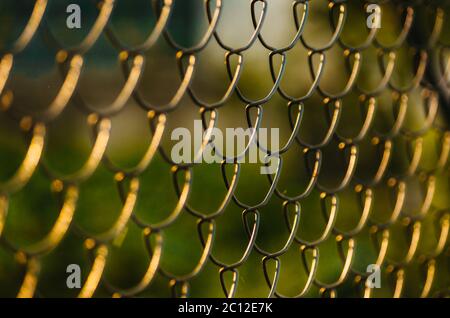 Golden hour metal wire fence pattern Stock Photo