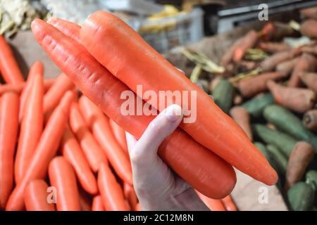 Female hand holding three big fresh orange carrots on a vegetables and legumes department of an Asian street market in El Nido Palawan the Philippines Stock Photo