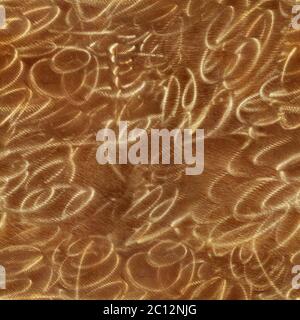 Seamless texture of brass plate chaotically brushed with circular moves. Stuttgart. Germany. Stock Photo
