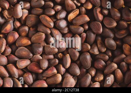 Pine nuts in shells of ciberian cedar as a background. Macro Stock Photo
