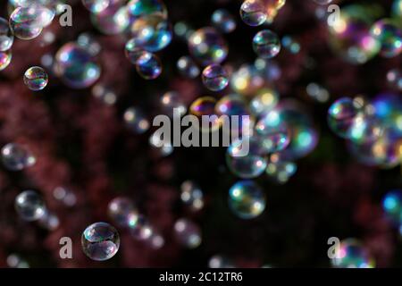 The rainbow bubbles from the bubble blower Stock Photo