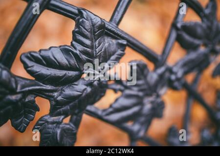 Image of a decorative cast iron fence and autumn orange leaves as background Stock Photo