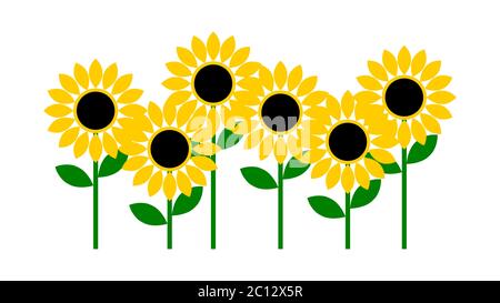 Group of Sunflower Icons. Vector image. Stock Vector