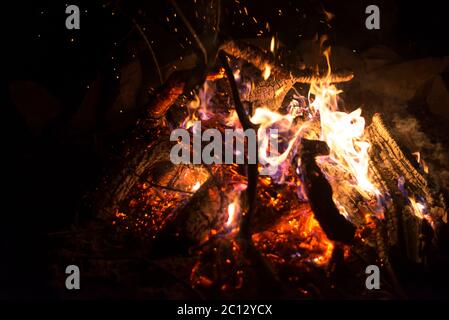 Brightly burning branches of trees in the fire at night, close-up Stock Photo