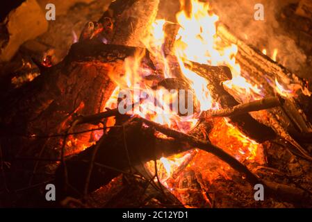 Brightly burning branches of trees in the fire at night, close-up Stock Photo