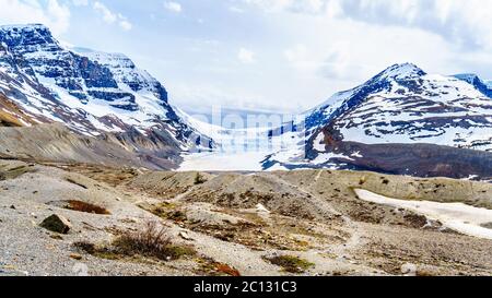 The Athabasca Glacier in the Columbia Icefields in Jasper National Park, Alberta, Canada at spring time Stock Photo