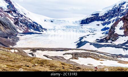 The Athabasca Glacier in the Columbia Icefields in Jasper National Park, Alberta, Canada at spring time Stock Photo