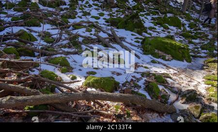 Waterfalls in the Canadian city of Hamilton, Ontario. Incredible forest, winter and spring weather, wonderful places to relax Stock Photo