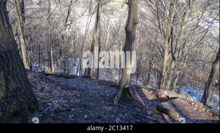 Waterfalls in the Canadian city of Hamilton, Ontario. Incredible forest, winter and spring weather, wonderful places to relax Stock Photo