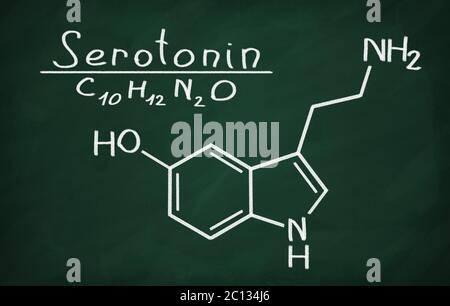 Structural model of Serotonin on the blackboard. Stock Photo