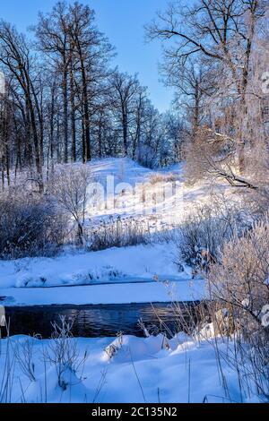 Winter sunny landscape with river and forest Stock Photo - Alamy