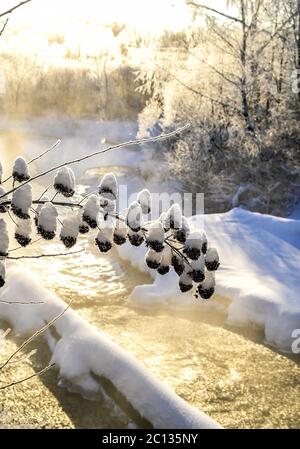 Winter sunny landscape with river and forest Stock Photo - Alamy