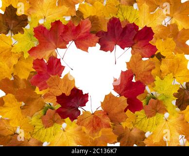 Heart-shaped frame of colorful maple leaves. Stock Photo