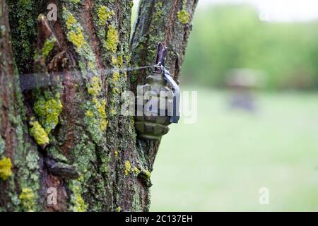 Booby Trap IED from soviet hand grenade F1 and tripwire Stock Photo