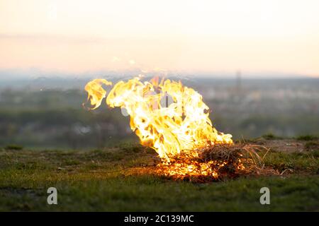 Big bright bonfire bugning at field in evening. Stock Photo