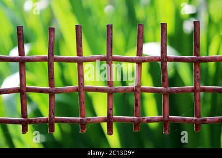 rusty metal fence on a background of green grass. Stock Photo