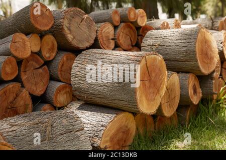 Pile of Wood Logs Ready for Winter Stock Photo