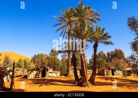 Sand dunes and oasis in the Sahara Desert, Merzouga, Morocco Stock Photo