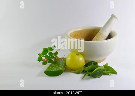 white herb blender with aloe vera, gooseberry, and other herbs representing ayurvedic medicine in white background. Stock Photo
