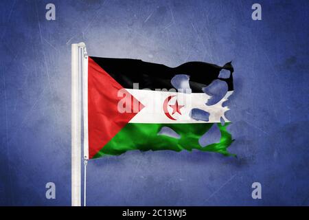 Torn flag of Sahrawi Arab Democratic Republic flying against grunge background Stock Photo