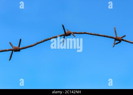 Barbed wire closeup on a blue sky background Stock Photo