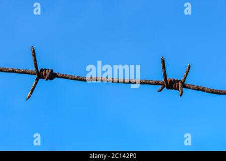 Barbed wire closeup on a blue sky background Stock Photo