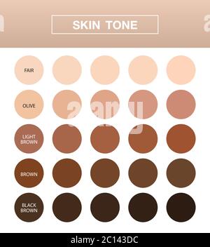 skin tone infographic, Color table chart ,  beauty human index, vector design. Stock Vector