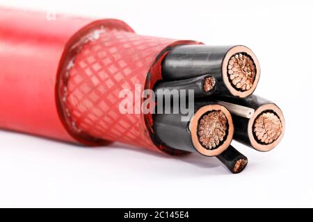 Close up photo of a high voltage cable isolated on white background Stock Photo