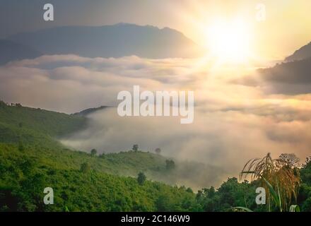 Mist In The Valley Stock Photo
