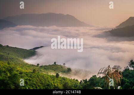 Mist In The Valley Stock Photo