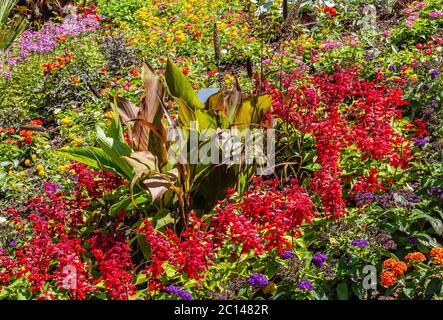 Blooming flower garden with variety of spring flowers and plats in South tyrol, Trentino Alto Adige,northern Italy Stock Photo