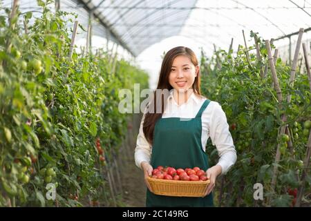 young beautiful asian woman works in green field Stock Photo