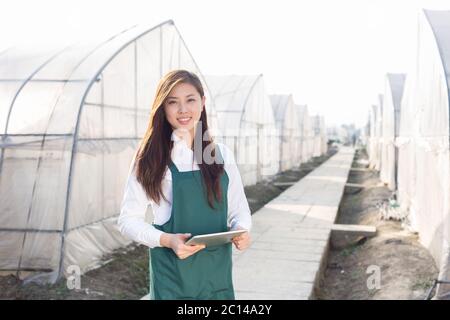 young beautiful asian woman works in green field Stock Photo