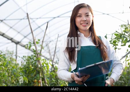 young beautiful asian woman works in green field Stock Photo