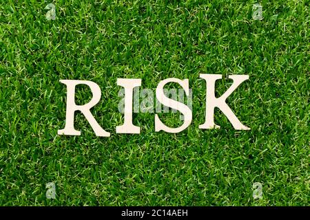 Wood letter in word risk on green grass background Stock Photo