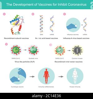 The Development of Vaccines for Inhibit Coronavirus. Illustration explain of vaccine developed for inhibit coronaviruses (SARS-CoV-2) by use method im Stock Vector