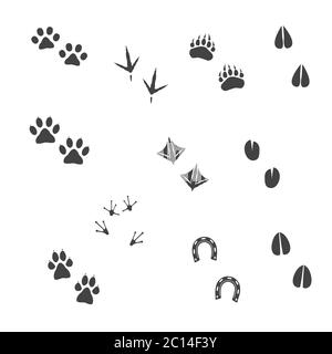 Wild animal footprint icon. Vector domestic bird step simple flat print set: cat paw, dog, bear, chicken feet, duck, horseshoe, deer hoofs, antelope Stock Vector