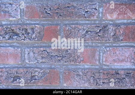 Brick close-up of a house in red and dark brown, Dutch house Stock Photo