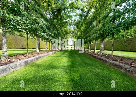 empty green footpath under steel frame in park Stock Photo