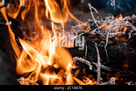 Extreme close up view to wood burning with flames. Orange flame of fire cooking at the stake. Camp fire flames, fire charcoal fire wood Stock Photo