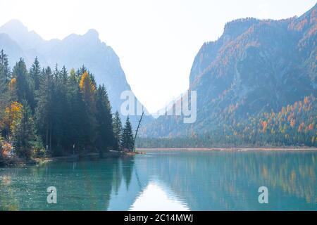 Panoramic view over the Toblacher Lake (Lago di Dobbiaco) and Dolomite mountain summits nearby in Autumn October colors at foggy morning, Dolomites, S Stock Photo