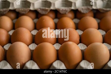 Bunch of raw chicken eggs in carton box. There are no marks on the eggs. Space for text Stock Photo