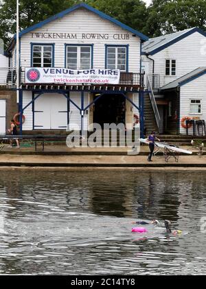 London, UK. 14 June 2020  Open water swimmers, Stuart Leigh & Fiona Buchanan swim in the River Thames, around Eel Pie Island, Twickenham, at a time when swimming pools are closed due to the coronavirus. Twickenham Rowing Club. Andrew Fosker / Alamy Live News Stock Photo