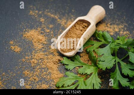 Brown coriander powder and wooden spoon Stock Photo