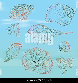 Seashells set on the blurred background, vector illustration Stock Vector