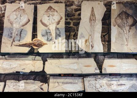 Exhibit in Memory of Time - Fossil Museum and shop in historic part of Byblos, largest city in the Mount Lebanon Governorate of Lebanon Stock Photo