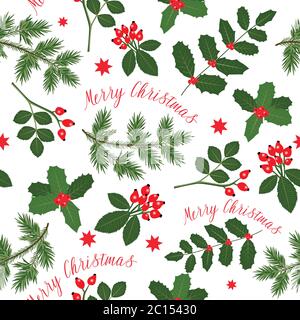 Christmas pattern with winter symbol plants and Merry Christmas text Stock Vector