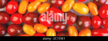 Cherry tomatoes on gray marble background. Banner. Stock Photo