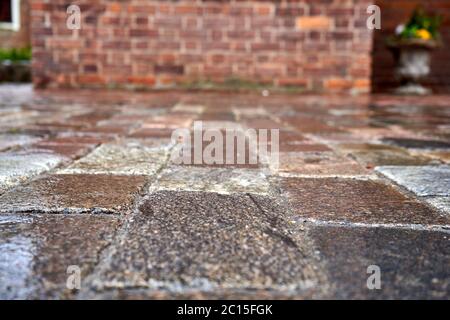 Stone pavement and old brick wall after the rain Stock Photo